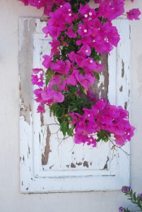 Santorini 2010